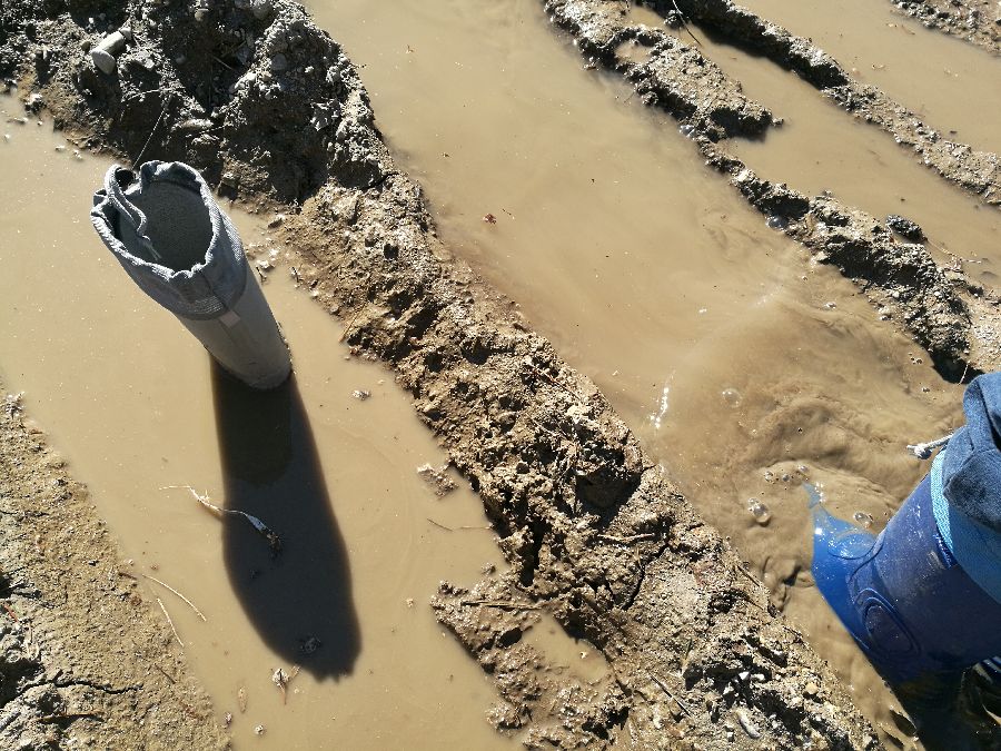 življenjske radosti